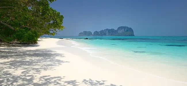 Bamboo Island