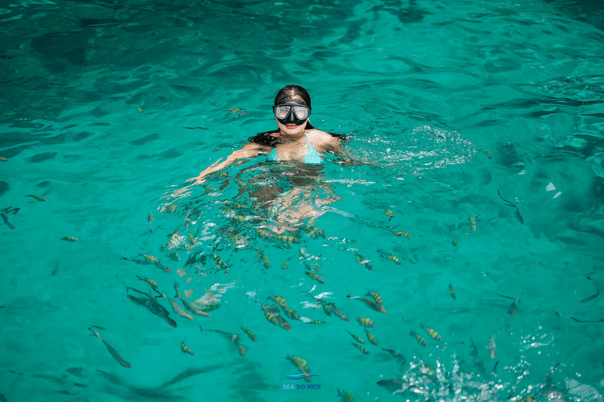 en-phiphi-ley